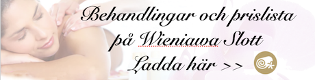 Wieniawa slott/Skärmavbild 2022-09-07 kl. 21.27.08.png